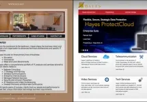 Hayes Computer Systems