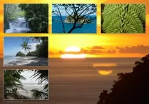 nature