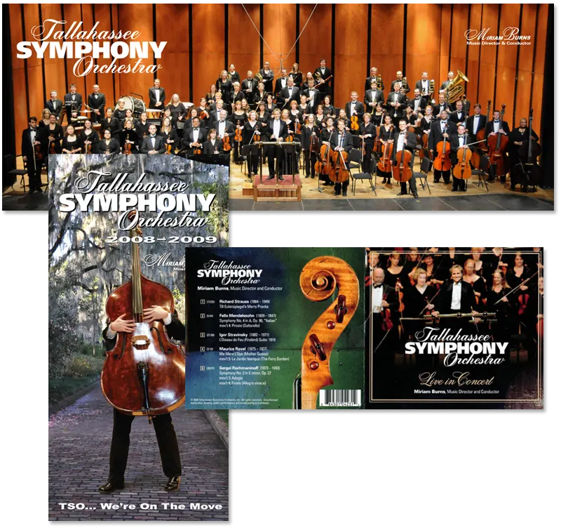 Tallahassee Symphony marketing materials
